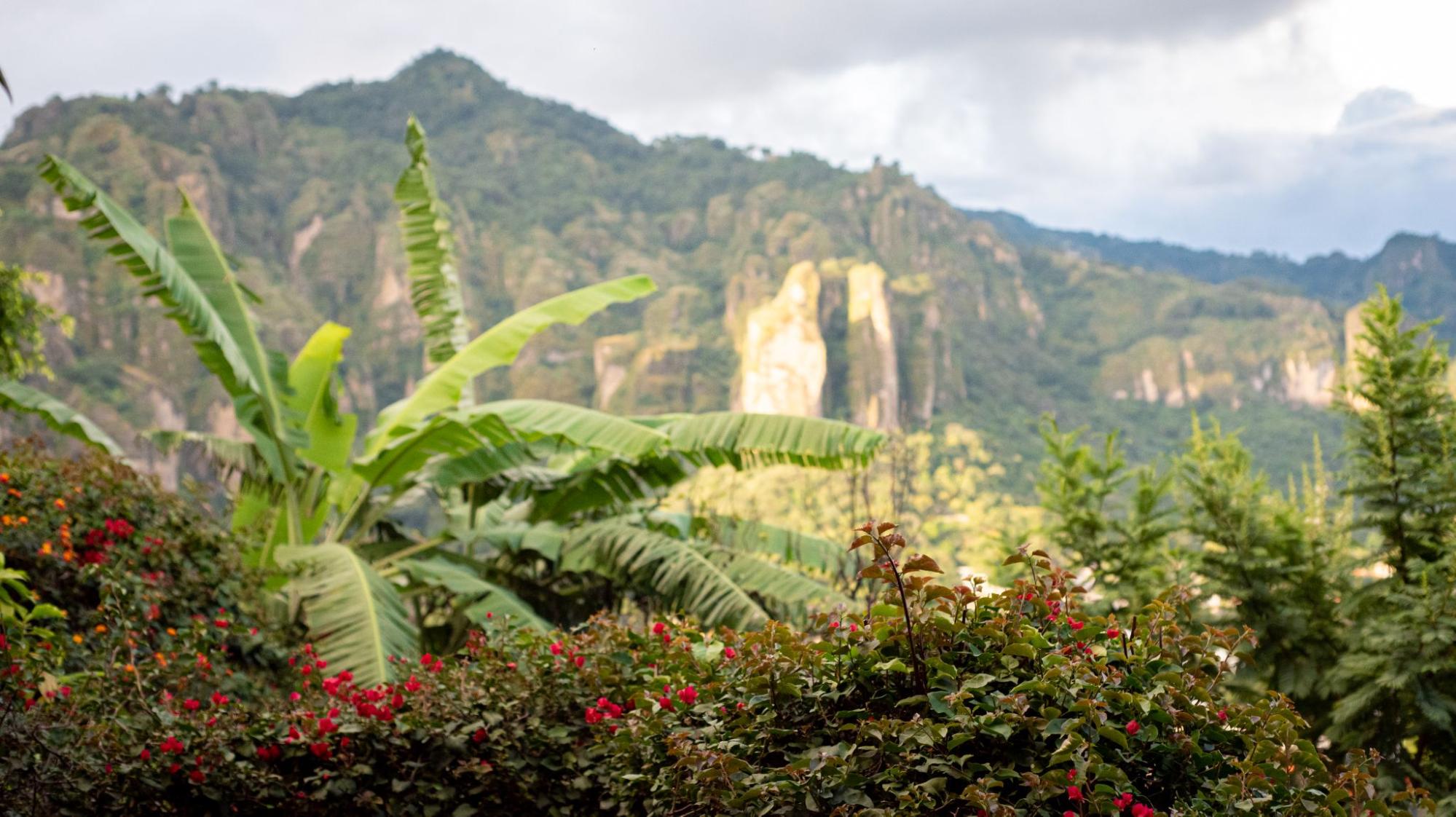 Sustentabilidad en el turismo